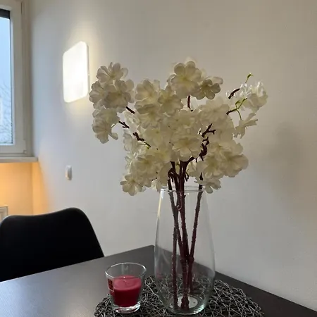 Appartement Cozy & Renovated In A Practical Location *