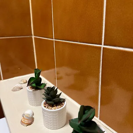Cozy & Renovated In A Practical Location 아파트