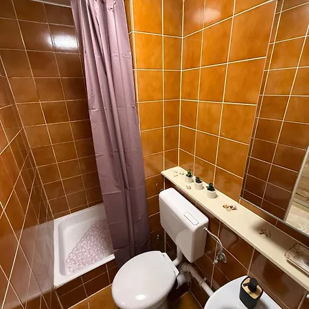 Cozy & Renovated In A Practical Location Ljubljana