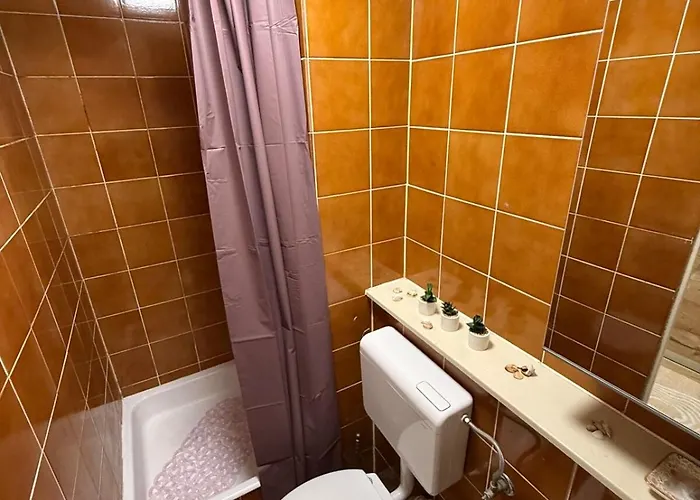 Cozy & Renovated In A Practical Location Ljubljana